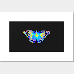 Vibrant Butterfly Posters and Art